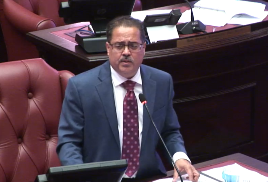 Presidente del Senado José Luis Dalmau.