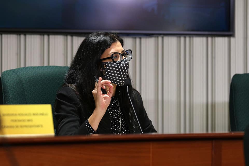 Justicia recomienda designación de un FEI contra representante Mariana Nogales Molinelli